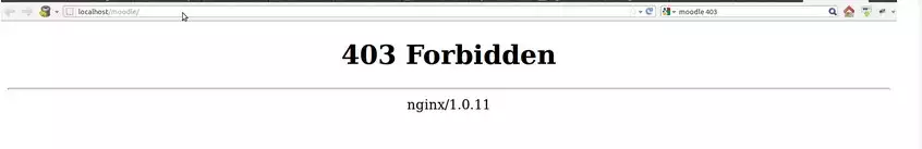 Error 403 Forbidden servido por Nginx en un sitio WordPress